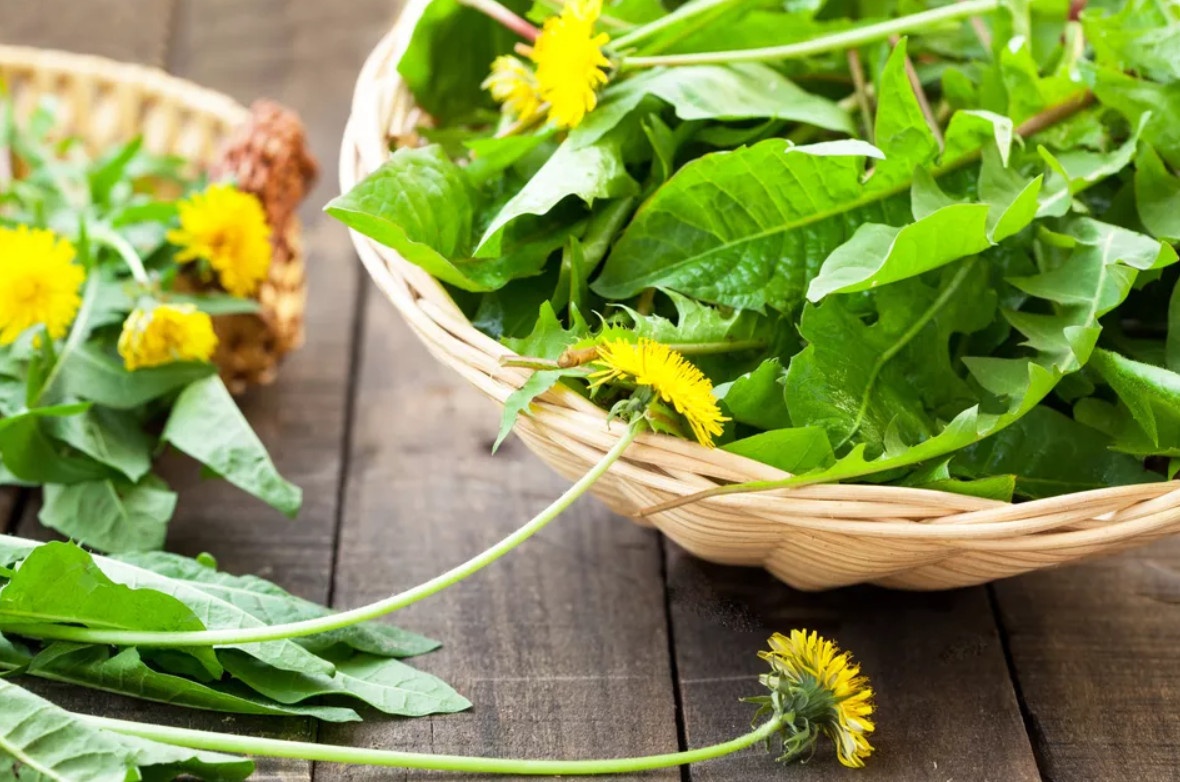 Những điều đáng ngạc nhiên bạn có thể làm với một bông hoa bồ công anh