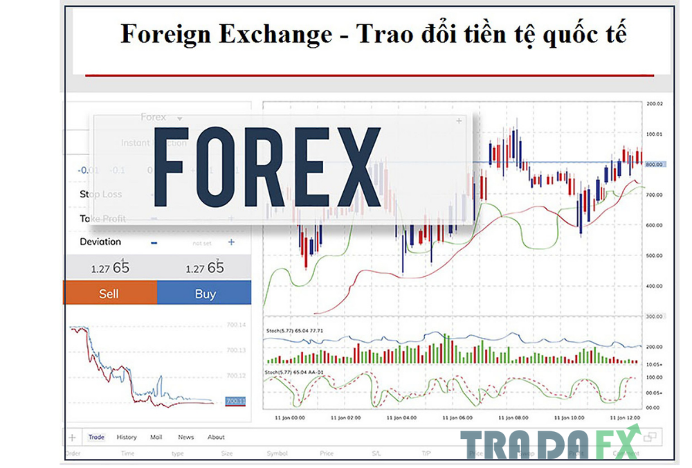 Kinh doanh ngoại hối là gì?