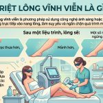 So Sánh Triệt Lông Vĩnh Viễn Và Triệt Lông Tạm Thời